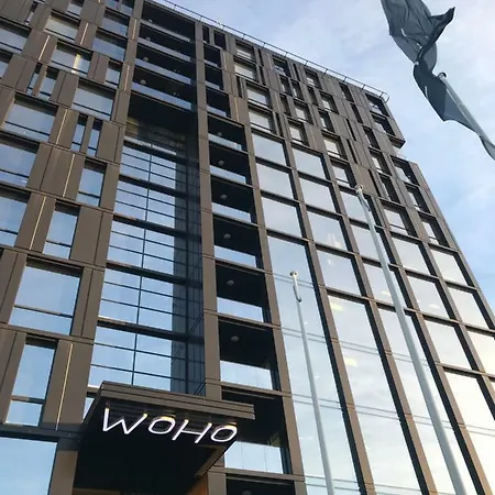 公寓 Woho Luxury Appartments 塔林